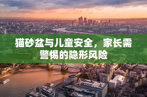 猫砂盆与儿童安全，家长需警惕的隐形风险