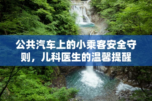 公共汽车上的小乘客安全守则，儿科医生的温馨提醒