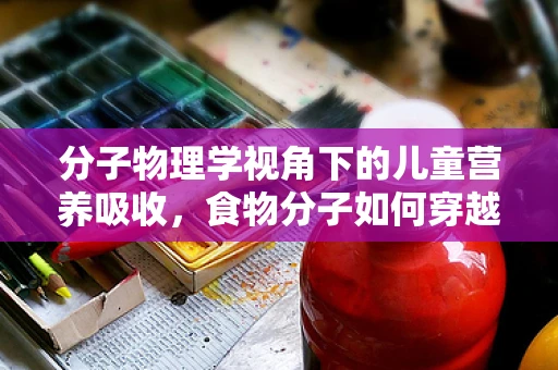 分子物理学视角下的儿童营养吸收，食物分子如何穿越肠道屏障？