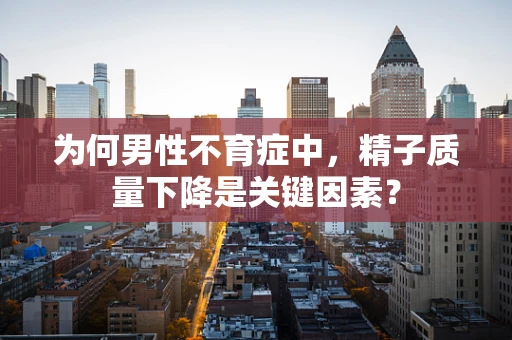 为何男性不育症中，精子质量下降是关键因素？