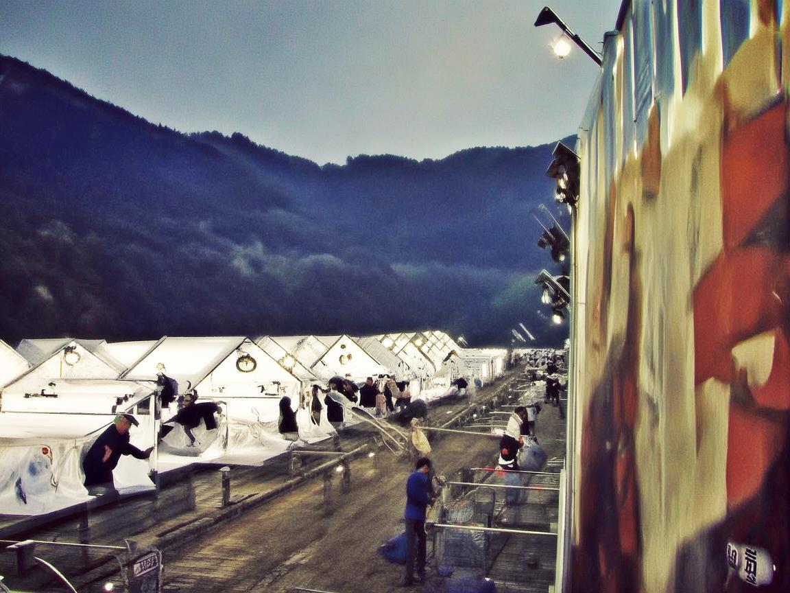 湛江地区儿童常见呼吸道感染的病原学特点及预防策略