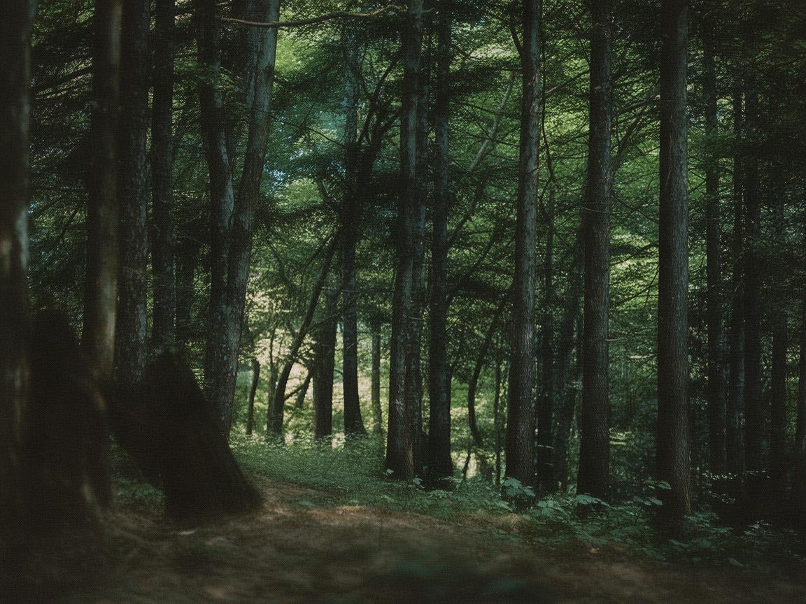 乌鲁木齐儿童健康新挑战,如何有效预防暖气病? 乌鲁木齐儿童健康新挑战,如何有效预防暖气病?