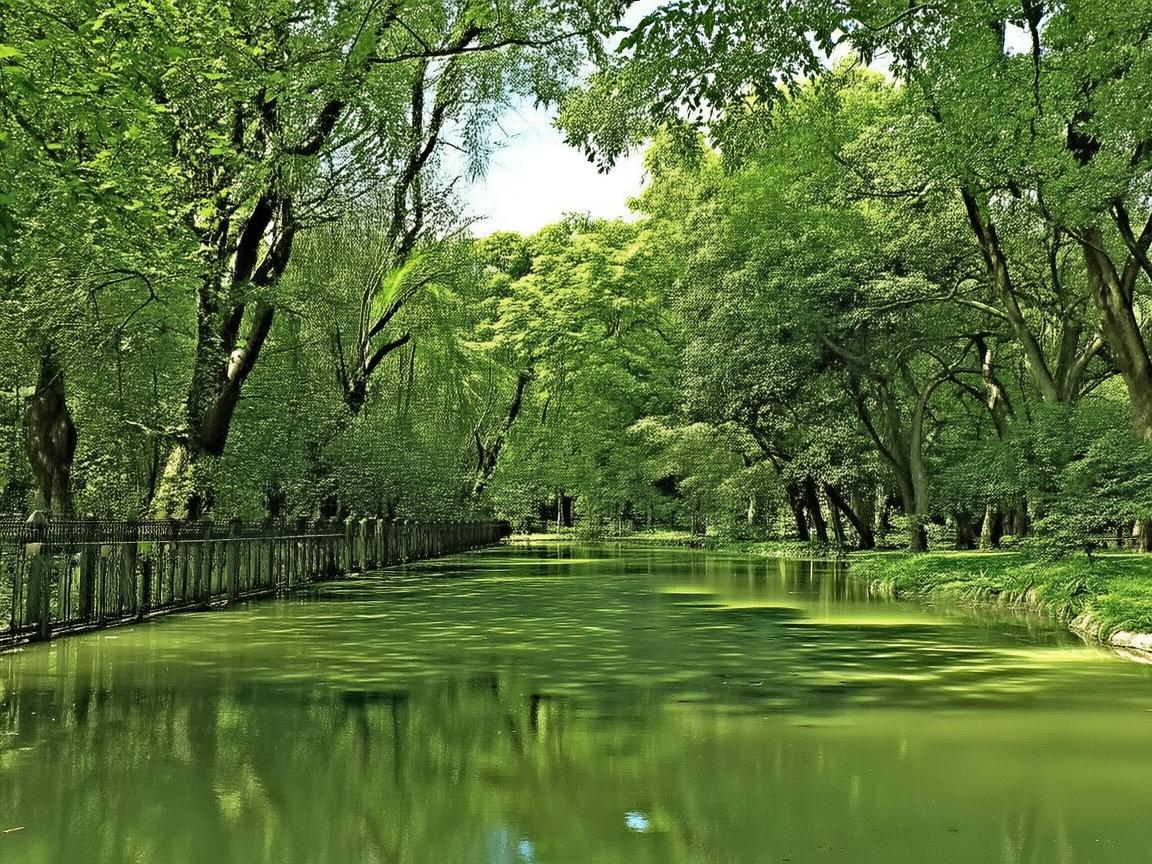 临沂儿童健康新挑战,如何有效预防季节性呼吸道感染?